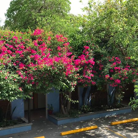Hotel Hacienda Del Viejo Matamoros (Tamaulipas) Exterior foto