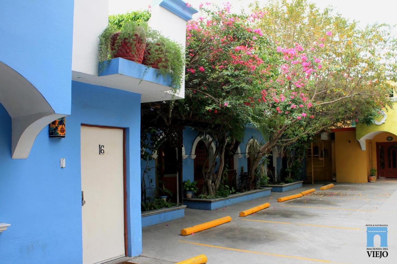 Hotel Hacienda Del Viejo Matamoros (Tamaulipas) Exterior foto