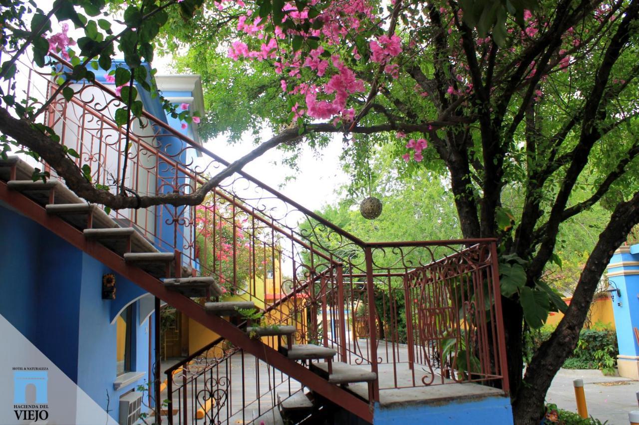 Hotel Hacienda Del Viejo Matamoros (Tamaulipas) Exterior foto